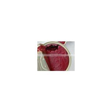 Great Quality,delicious Tomato Paste 400g for European Market