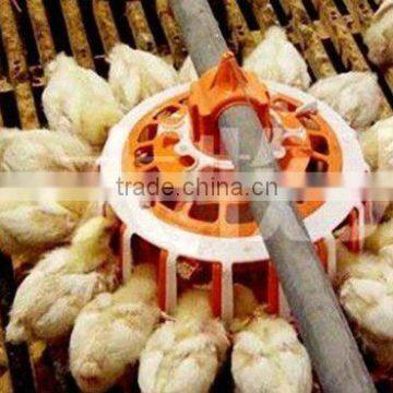 automatic broiler chicken raise machine line/chicken breeding system