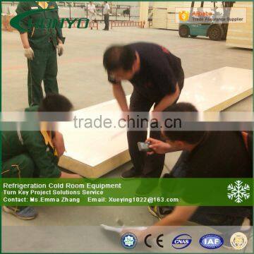 freezer polyurethane insulation panel manufacturer insulated sandwich cold room