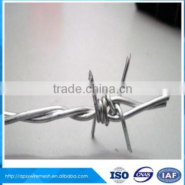 electro galvanized barbed wire