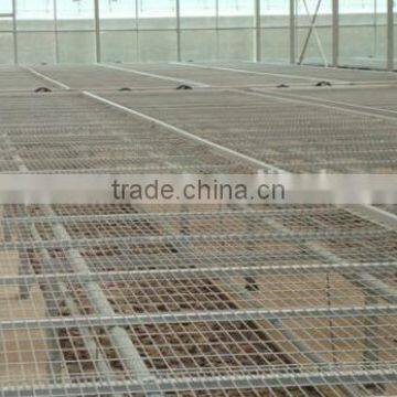 Sprout raised seedbed benches for greenhouse