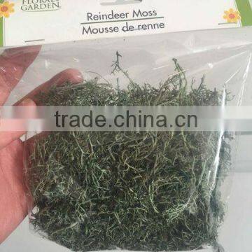 MS002 home house and festival decoration moss