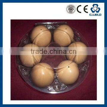 Good Quality Egg Box Making Machine Egg Box Production Line photo-2