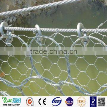 Corrosion Resistance PVC Hexagonal Wire Mesh For Fish Garden photo-2