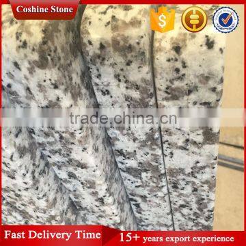 China Bianco Sardo Granite Countertop With Lower Price photo-3