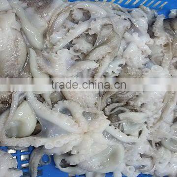 Fresh Frozen Cleaned Baby Octopus Flower Type photo-4