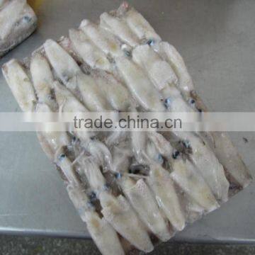 Grade A BQF Baby Squid Loligo Japonica photo-6