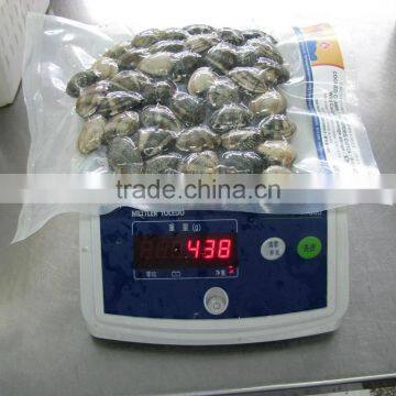 High Frozen Vacuum Packed Short Necked Clam photo-6