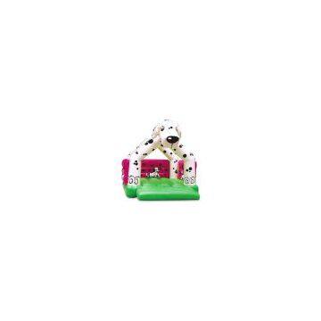 Inflatable Bouncer