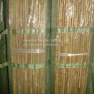 Bamboo Fence/bamboo Sticks/bamboo Poles