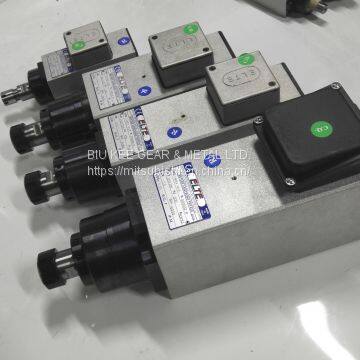 The Italy Spindle Motors ELTE photo-3