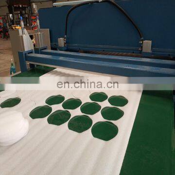 Auto Feeding Epe Foam Cut Hydraulic Cutting Machine photo-4
