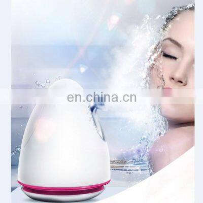 Beauty Personal Care OEM 220W 85ML Portable Vaporizer Face Steamer Nano Facial Steamer