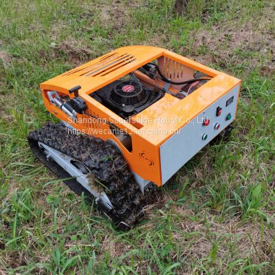 remote control slope mower for sale, China robotic slope mower price, remote mower price for sale