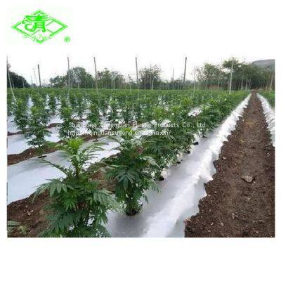 Factory Direct Sales of Silver Shine Plastic Mulch Films photo-4