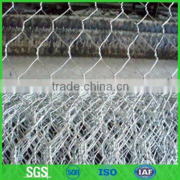 Chicken cloth wire netting (low price and best quality)