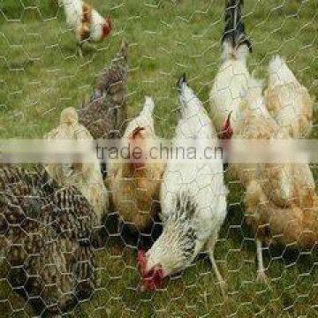 chicken fence small hole wire fence