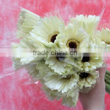 Elegant in smell hot sale cheap fresh flowers gerbera