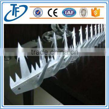 Low Price Razor Barbed Wire Anti Climb Spikes photo-4