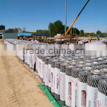 Sbs Modified Bitumen Waterproof Roof Membrane photo-3