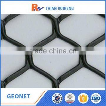 Plastic Geonet For Walls