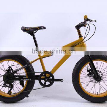 High Grade Aluminium Alloy Fat Tire Snow Bike 20 inch 24 speed MTB Mountain Bike