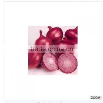 Indian Red Onions