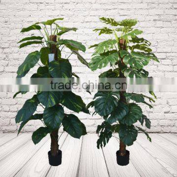 Office Decorative Artificial Taro Bonsai, Plastic Evegreen Plants photo-6