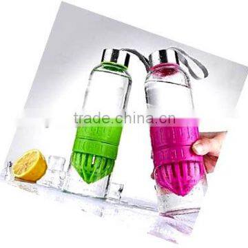 Borosilicate Bpa Free Water Bottle With Fruit Infuser photo-2