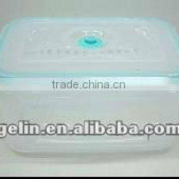 2500ml Vacuum Food Storage Container GL9521