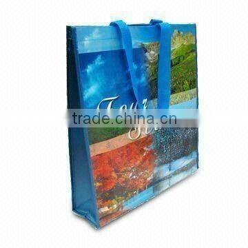 Printed PP Woven Bag for Shopping(glt-w0164)