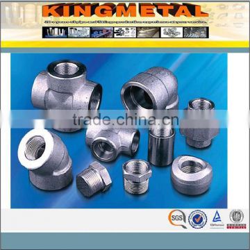 Carbon SteelStainless Steel/Alloy Steel Pipe Fittings for Industrial