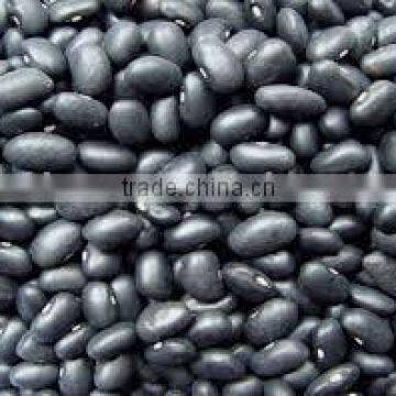 good black beans original CHINA with excellent quality for sale