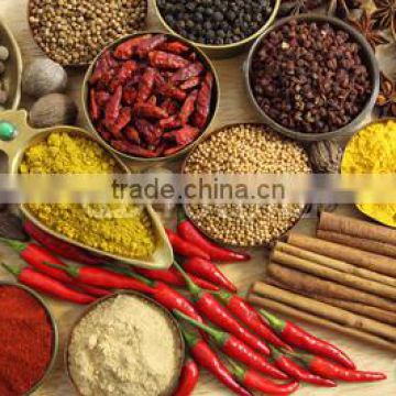 Spices and herbs OEM -Black pepper-YY spice