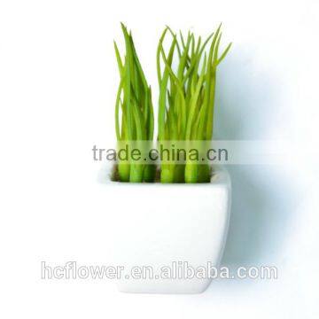 Decorative Artificial Succulent Plant in a White Plastic/ceramic Pot