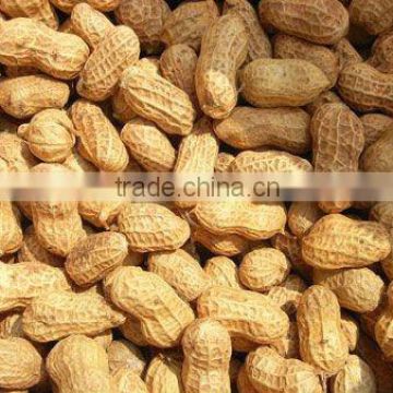 newest cheap peanuts price