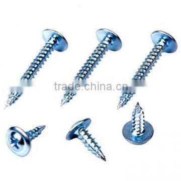 Modify Truss Head Self Tapping Roofing Screws Series