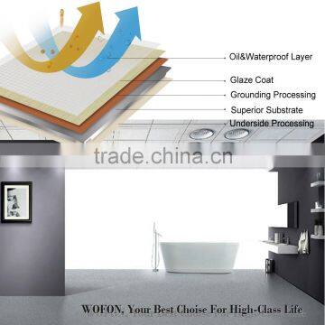 Building Construction Materials Lift;ceiling Led; Bathroom Tile photo-3