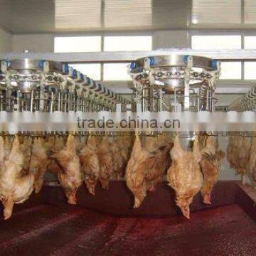 chicken slaughter line/ automatic line or semi-automatic line