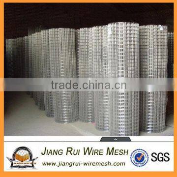 China 2x2 galvanized welded wire mesh for sale