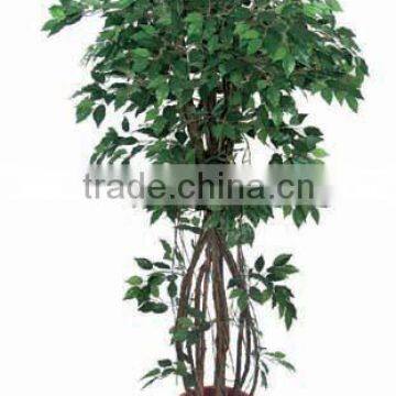 indoor plasitc ficus/benjamin tree