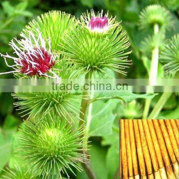 natural Burdock Extract arctiin