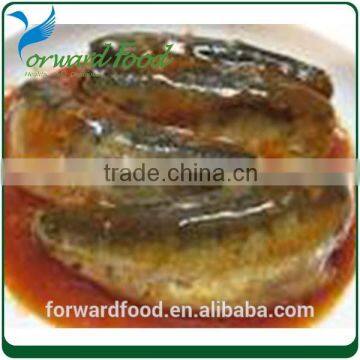 High Quality Canned Sardine 155g in Tomato Sauce