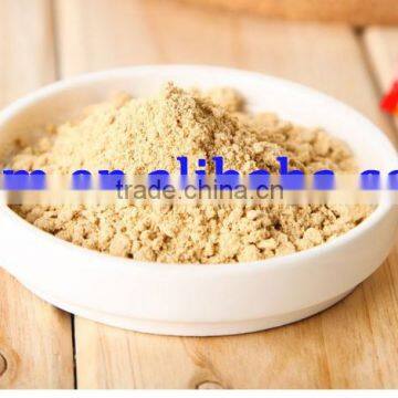 Ginger Powder in ginger extract