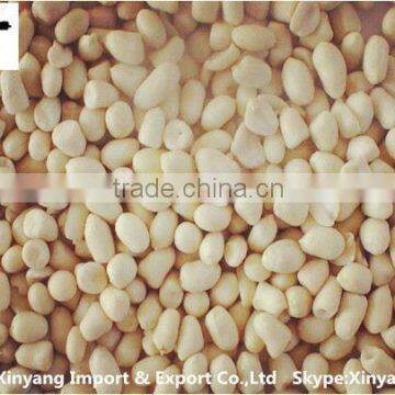 blanched peanut slivered/25/29 41/51 blanched peanut kernel/peanuts red skin
