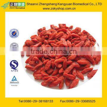 GMP Manufacturer Supply Dried Goji Berry with High Quality