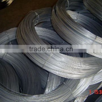 BWG 22 Galvanized Binding Wire