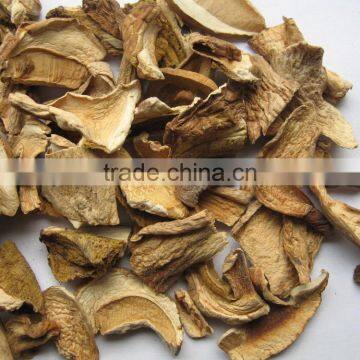 Buy Now Market Prices for Mushroom Products Made in Asia