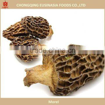 price of black morel mushroom