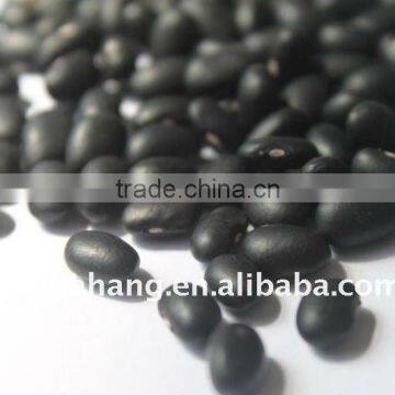 Premium Quality BLACK TURTLE BEANS